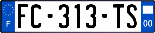 FC-313-TS