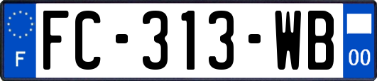 FC-313-WB