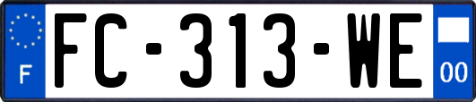 FC-313-WE