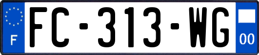 FC-313-WG