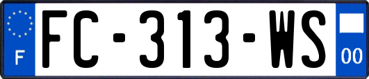FC-313-WS