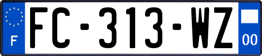 FC-313-WZ