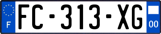 FC-313-XG