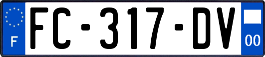 FC-317-DV