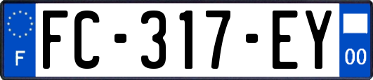 FC-317-EY