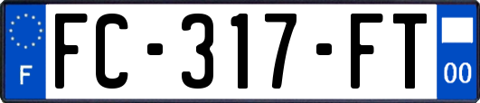 FC-317-FT