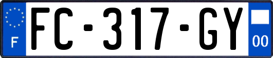 FC-317-GY