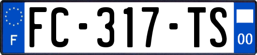 FC-317-TS