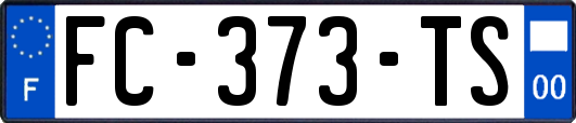 FC-373-TS