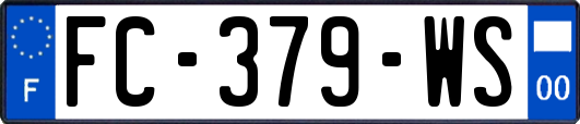FC-379-WS