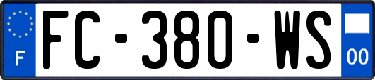 FC-380-WS