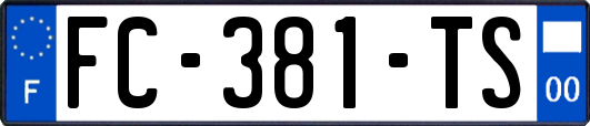 FC-381-TS