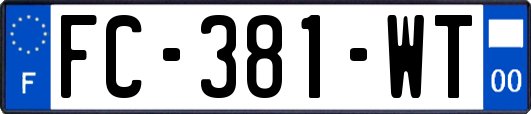 FC-381-WT
