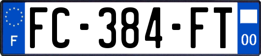 FC-384-FT