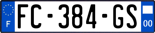 FC-384-GS