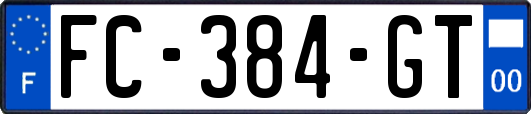 FC-384-GT