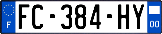 FC-384-HY