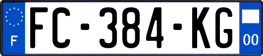 FC-384-KG