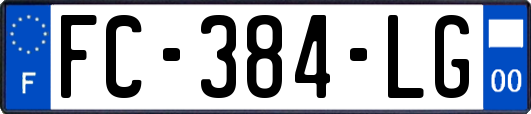 FC-384-LG