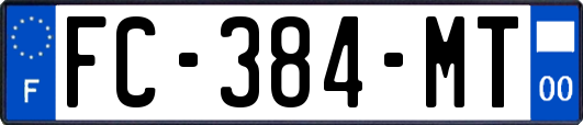 FC-384-MT