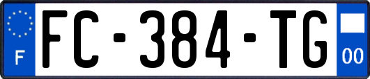 FC-384-TG