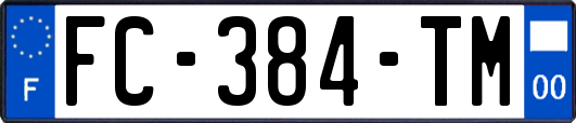 FC-384-TM