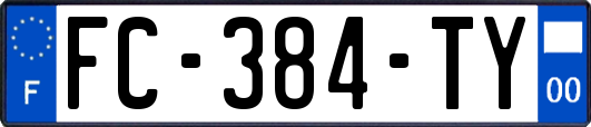 FC-384-TY