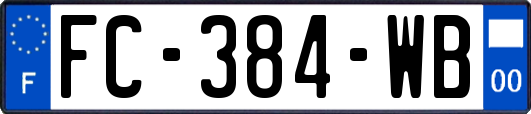 FC-384-WB