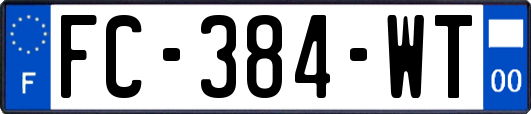 FC-384-WT