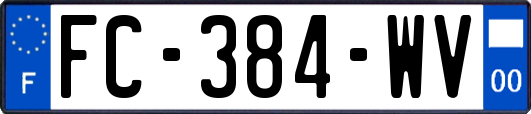 FC-384-WV