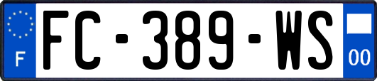 FC-389-WS