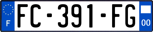 FC-391-FG