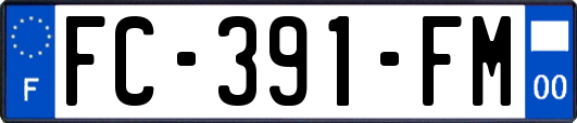 FC-391-FM