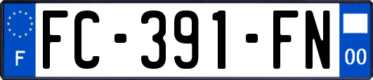 FC-391-FN