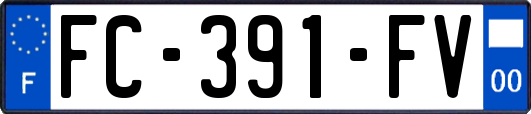FC-391-FV