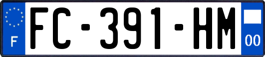 FC-391-HM