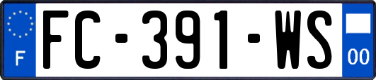 FC-391-WS
