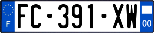 FC-391-XW