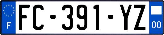 FC-391-YZ