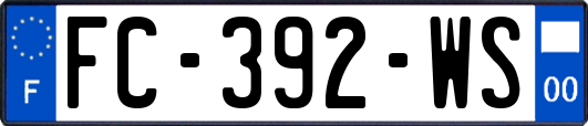 FC-392-WS