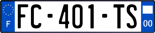 FC-401-TS