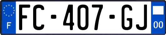 FC-407-GJ