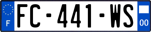 FC-441-WS