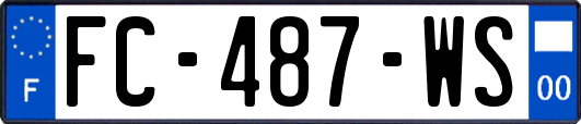 FC-487-WS