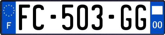 FC-503-GG
