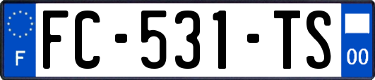 FC-531-TS