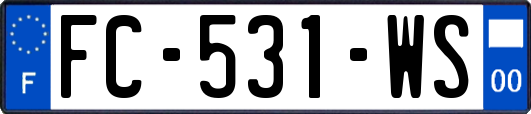 FC-531-WS
