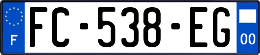 FC-538-EG