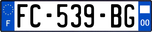 FC-539-BG