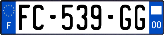 FC-539-GG